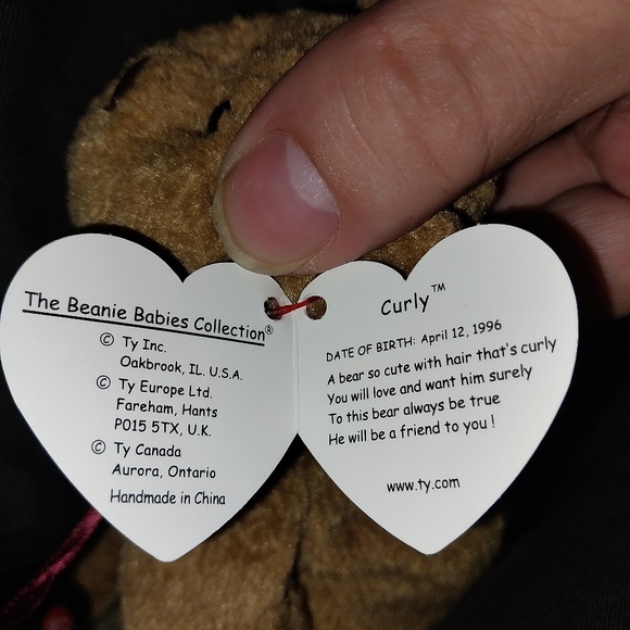 Beanie Baby - Curly The Bear WITH ERRORS - Picture 7 of 7